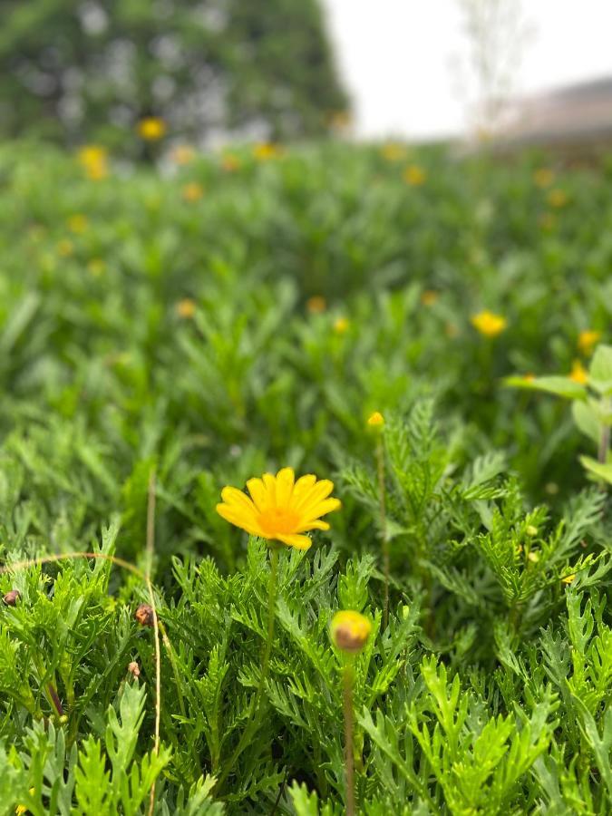 Da Lat Sunshine Garden Hotel ภายนอก รูปภาพ